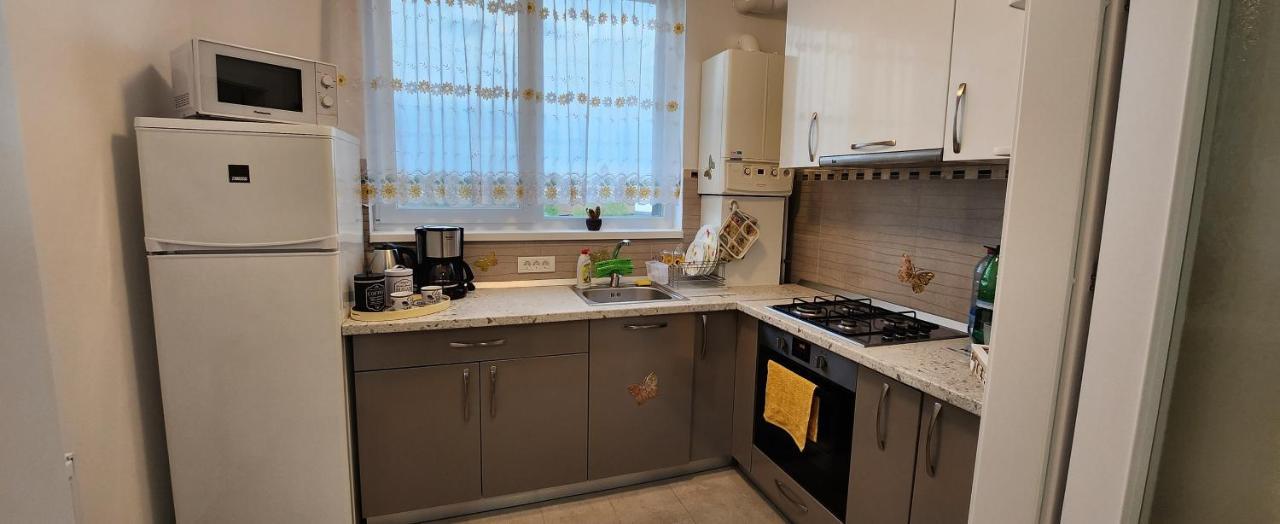 Butterfly Apartment Тимишоара Екстериор снимка