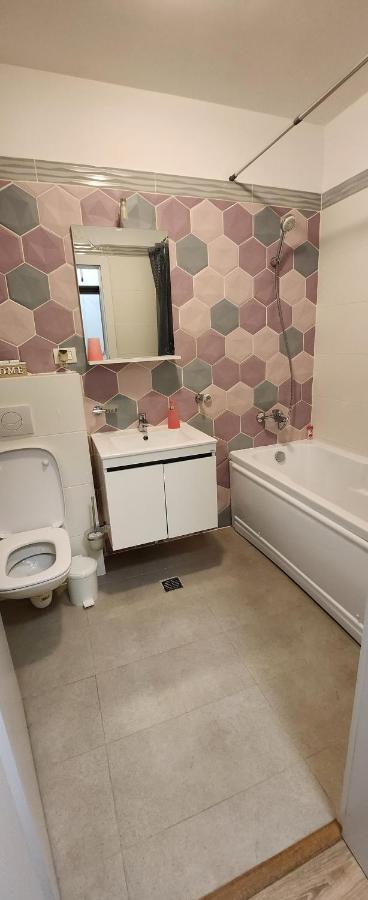 Butterfly Apartment Тимишоара Екстериор снимка