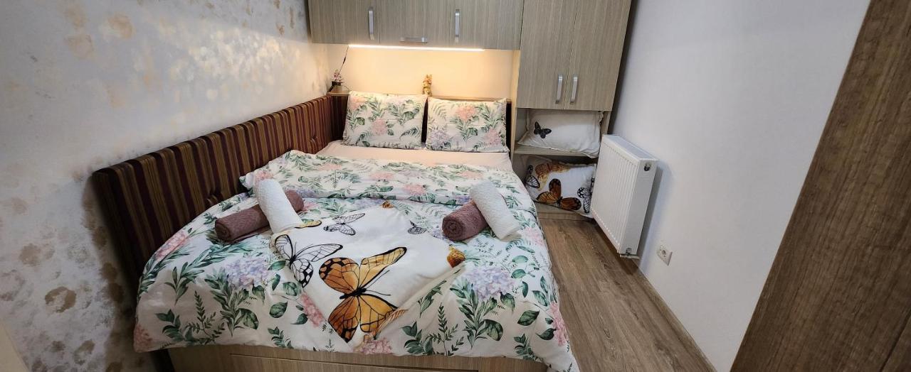 Butterfly Apartment Тимишоара Екстериор снимка