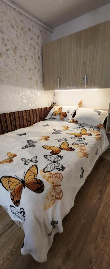 Butterfly Apartment Тимишоара Екстериор снимка